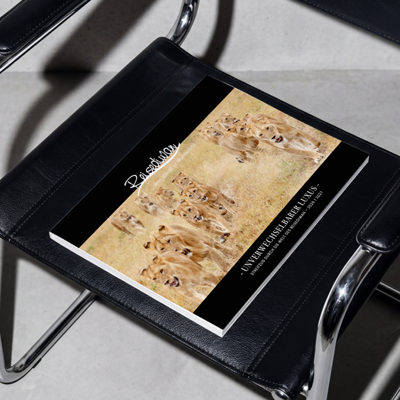 Magazindesign Reisediwan